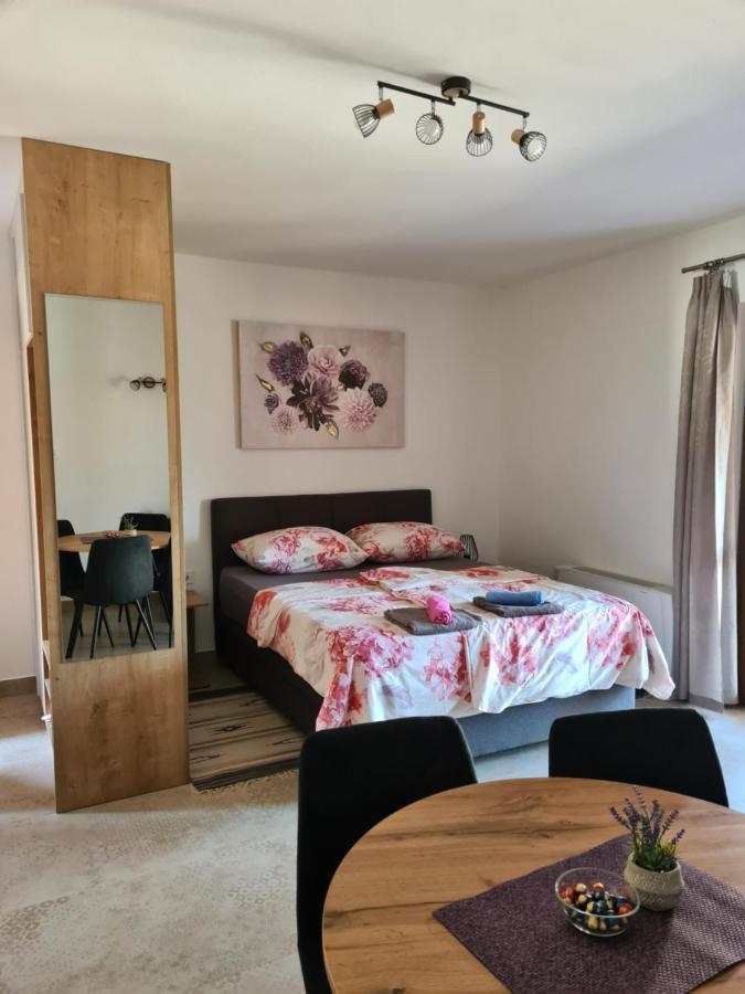 Petrovic Apartment *